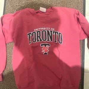Champion Faded Red Crewneck Sweatshirt - University of Toronto